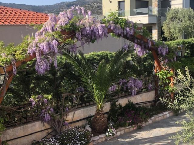 Aegean Villas Potos Ngoại thất bức ảnh